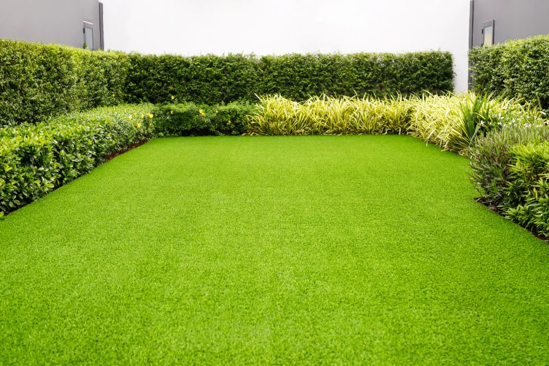 Healthy Lawn Growth