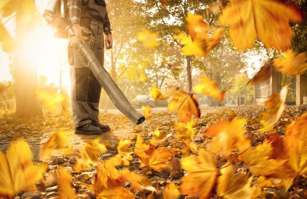 Leaf Blowing Service in Irvine