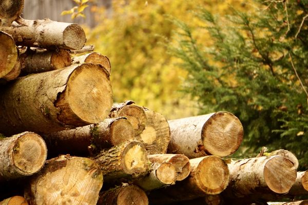 Wood Pile Removal in Irvine