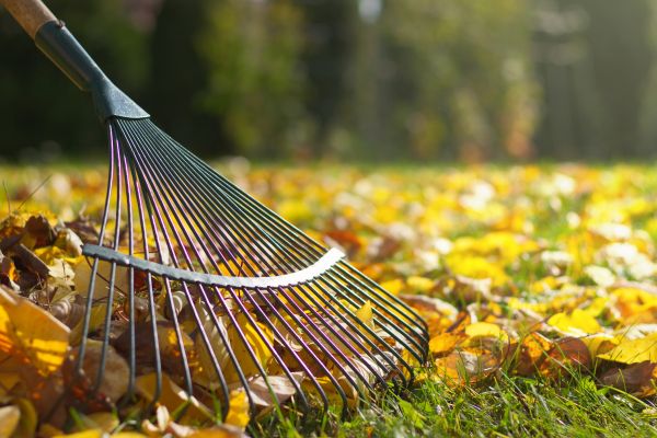 Leaf Raking Service in Irvine