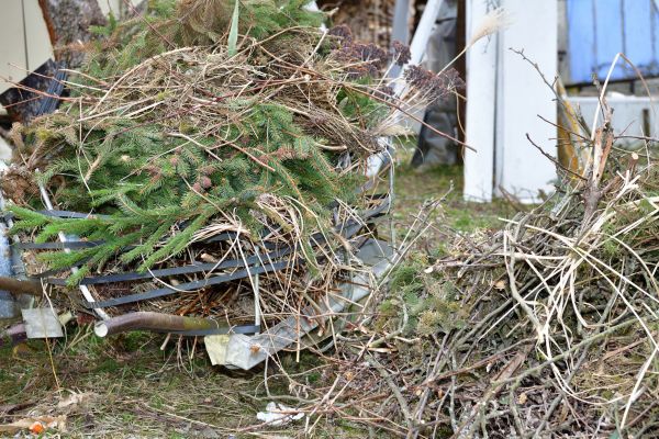Yard Waste Removal Service in Irvine