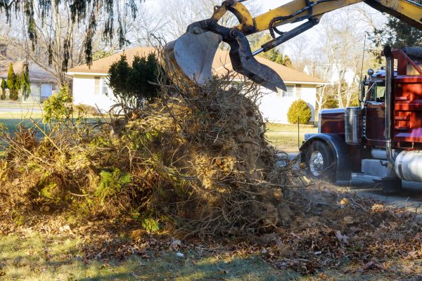 Storm Debris Removal in Irvine