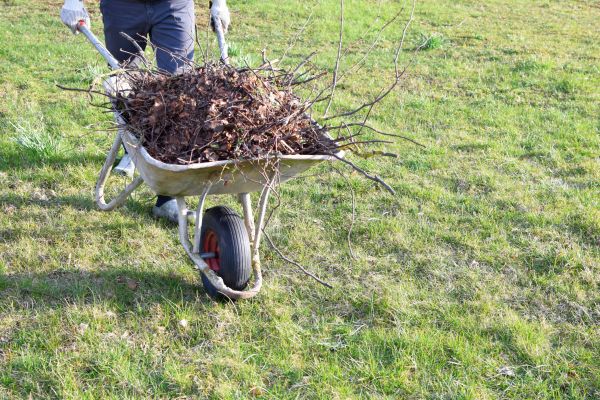 Yard Brush Removal in Irvine
