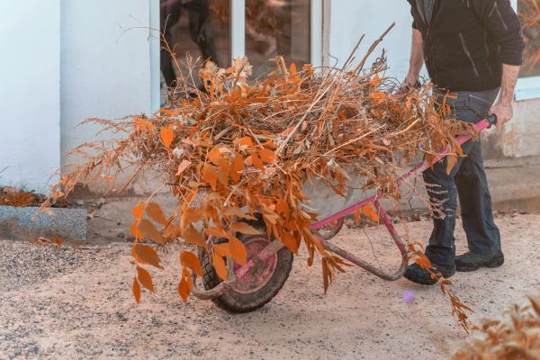 Cost of Lawn Debris Cleanup in Irvine