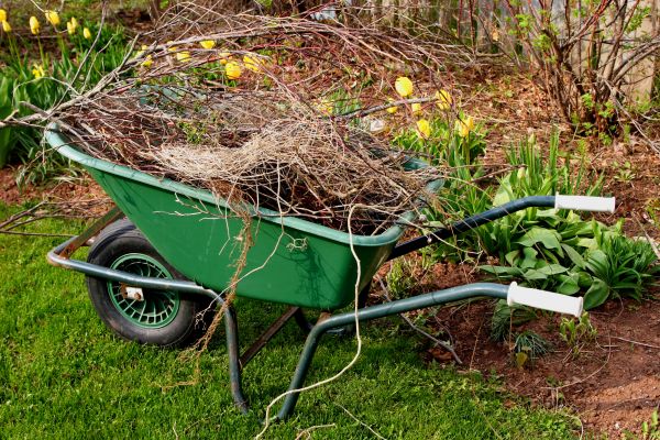 Lawn Waste Removal in Irvine