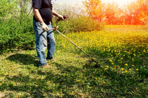 Yard Clearing Service in Irvine