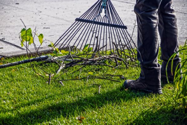 Yard Debris Cleanup in Irvine