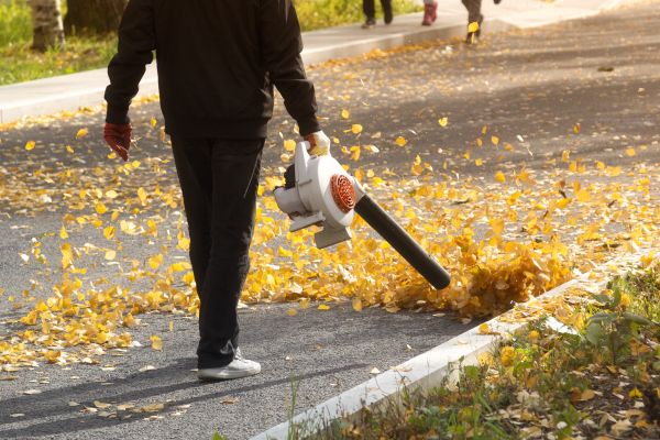 Commercial Leaf Removal in Irvine